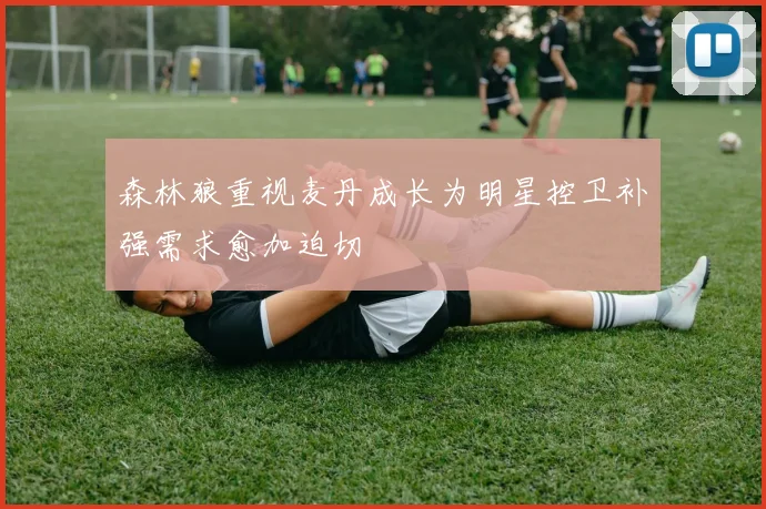 森林狼重视麦丹成长为明星控卫补强需求愈加迫切