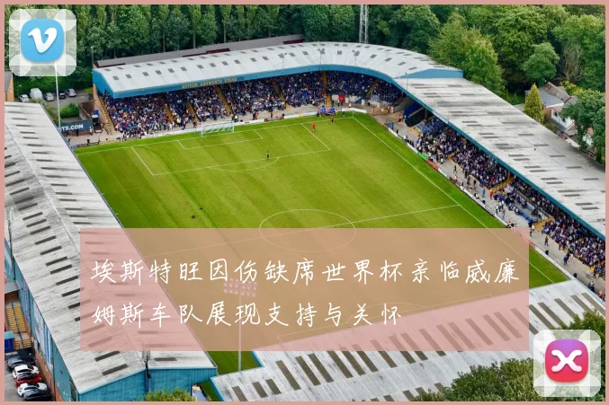 埃斯特旺因伤缺席世界杯亲临威廉姆斯车队展现支持与关怀